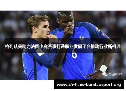 格列兹曼助力法国电竞赛事打造职业发展平台推动行业新机遇