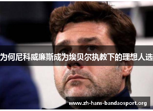 为何尼科威廉斯成为埃贝尔执教下的理想人选 为何尼科威廉斯成为埃贝尔执教下的理想人选