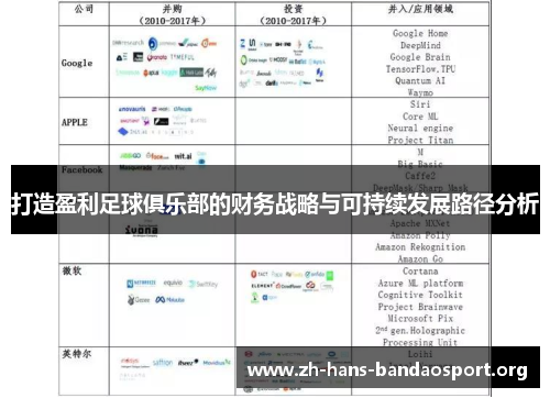 打造盈利足球俱乐部的财务战略与可持续发展路径分析