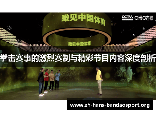 拳击赛事的激烈赛制与精彩节目内容深度剖析 拳击赛事的激烈赛制与精彩节目内容深度剖析