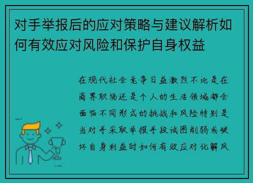 对手举报后的应对策略与建议解析如何有效应对风险和保护自身权益