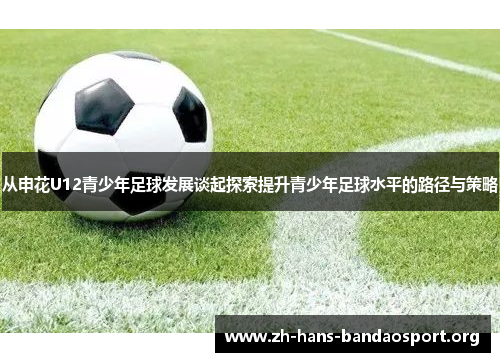 从申花U12青少年足球发展谈起探索提升青少年足球水平的路径与策略 从申花U12青少年足球发展谈起探索提升青少年足球水平的路径与策略