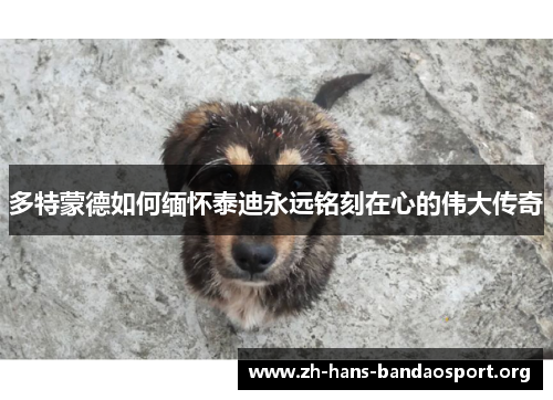 多特蒙德如何缅怀泰迪永远铭刻在心的伟大传奇 多特蒙德如何缅怀泰迪永远铭刻在心的伟大传奇