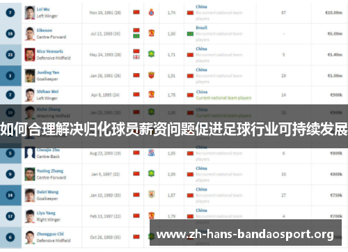 如何合理解决归化球员薪资问题促进足球行业可持续发展 如何合理解决归化球员薪资问题促进足球行业可持续发展