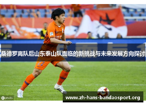 桑德罗离队后山东泰山队面临的新挑战与未来发展方向探讨