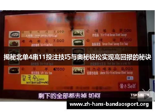 揭秘北单4串11投注技巧与奥秘轻松实现高回报的秘诀
