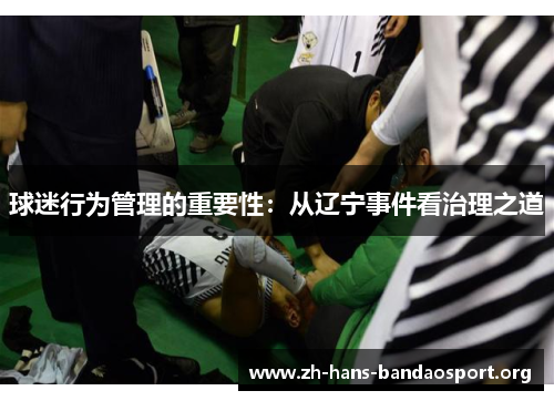 球迷行为管理的重要性：从辽宁事件看治理之道