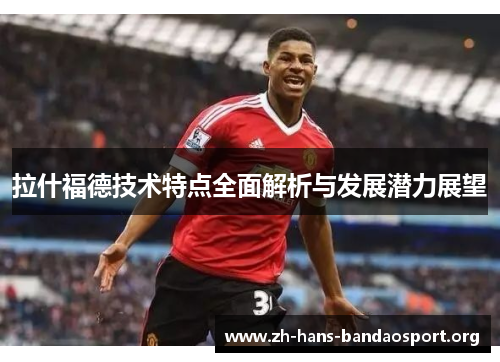 拉什福德技术特点全面解析与发展潜力展望