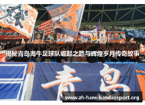 揭秘青岛海牛足球队崛起之路与辉煌岁月传奇故事 揭秘青岛海牛足球队崛起之路与辉煌岁月传奇故事