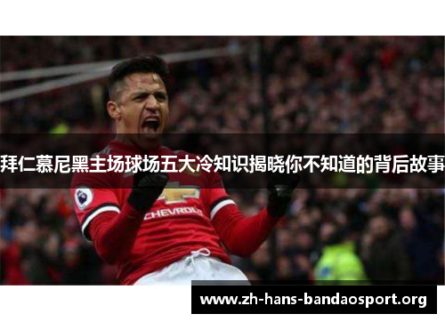 拜仁慕尼黑主场球场五大冷知识揭晓你不知道的背后故事