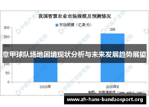 意甲球队场地困境现状分析与未来发展趋势展望