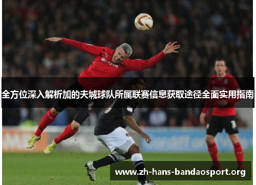 全方位深入解析加的夫城球队所属联赛信息获取途径全面实用指南 全方位深入解析加的夫城球队所属联赛信息获取途径全面实用指南